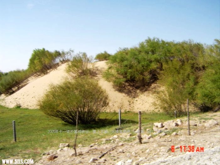 DSC00776.jpg