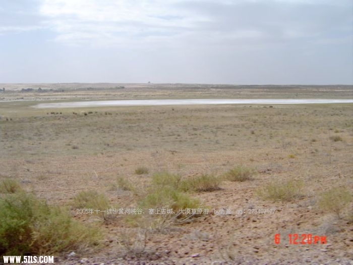 DSC00800.jpg
