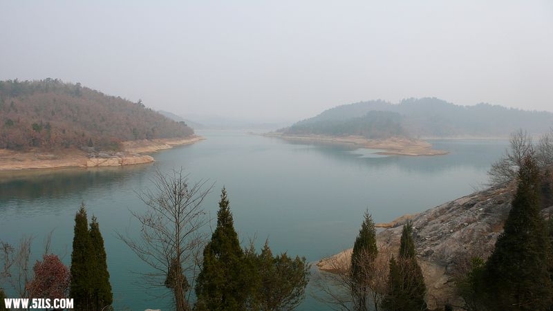 P1100655.jpg