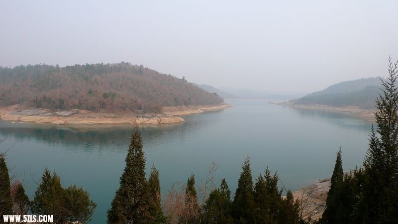 P1100659.jpg