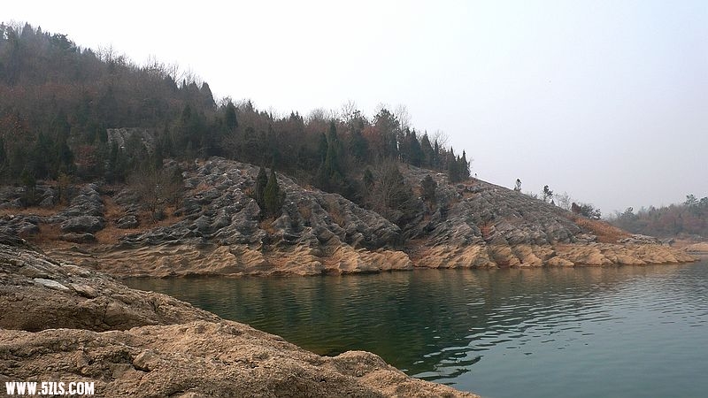 P1100688.jpg