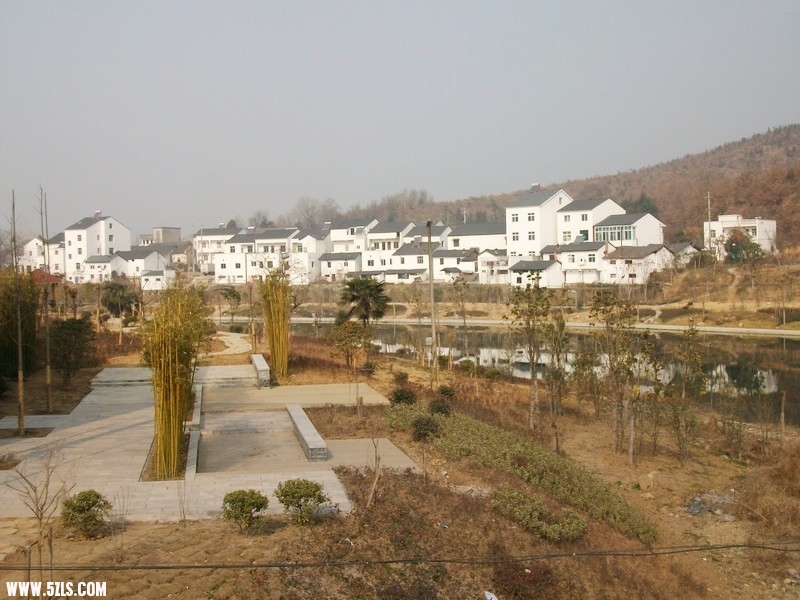 ALIM4858.jpg