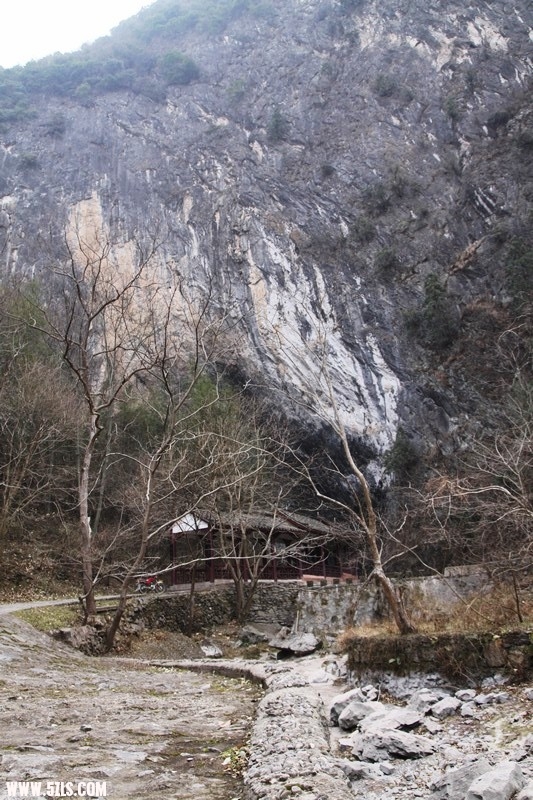 IMG_9807.jpg