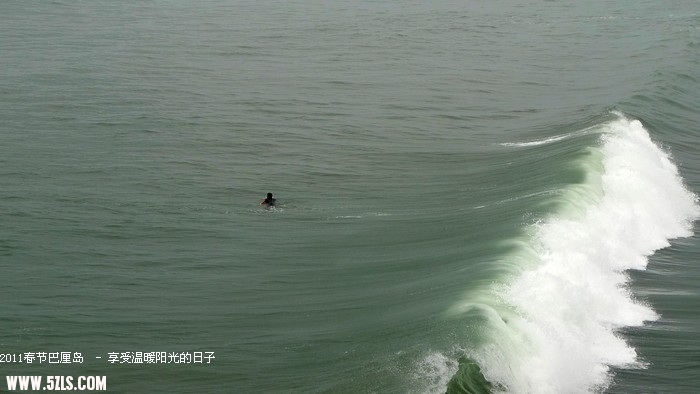 P1150481.jpg