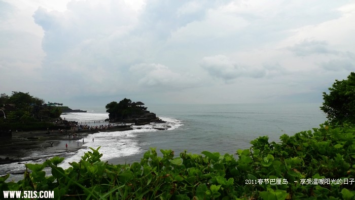 P1150494.jpg