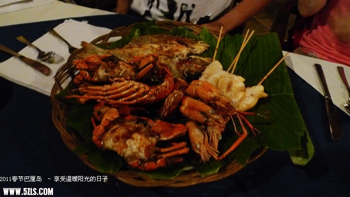 P1150813.jpg