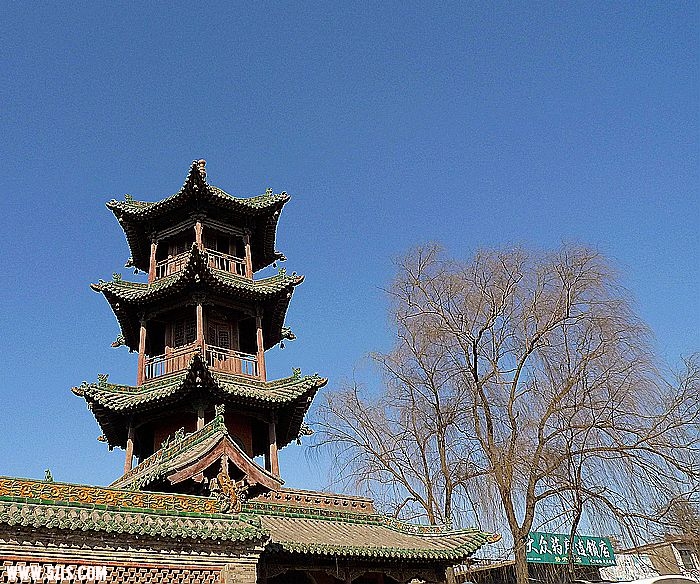 P1020902.jpg