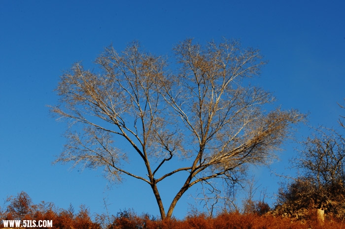 DSC_2266.JPG