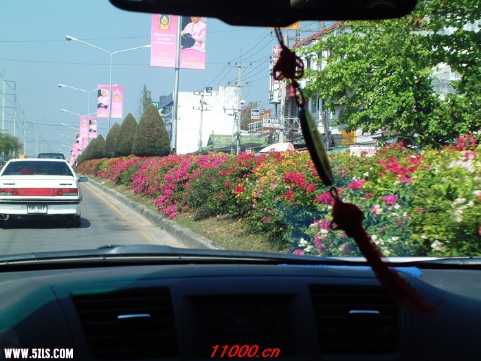 CAR THAI PHOTO20080208 075.jpg