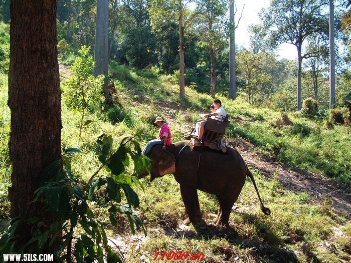 200802ALL THAIONECAR 088.jpg