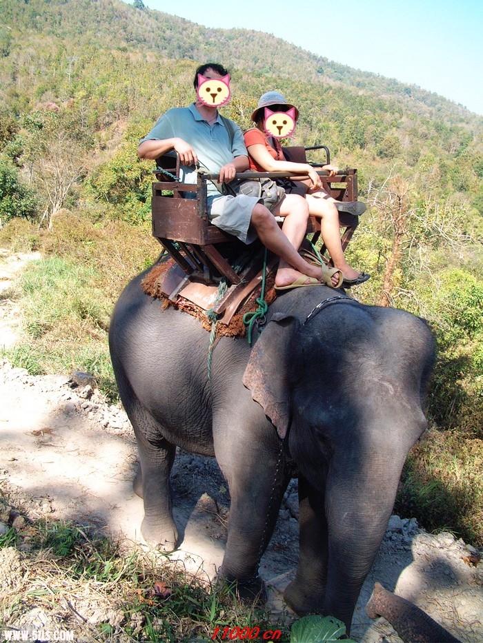 200802ALL THAIONECAR 100.jpg