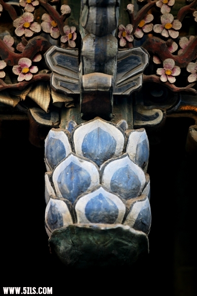 ҴԺӡ10.jpg