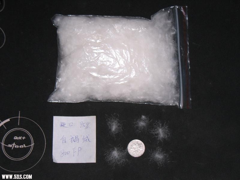 进口白鹅