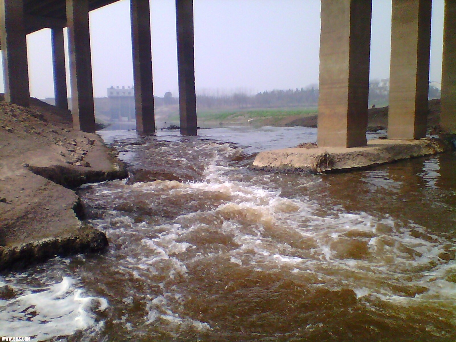 IMG00032.jpg