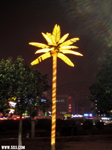 DSC00256.jpg