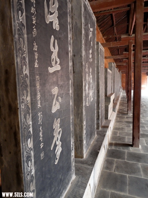 DSC00308.jpg