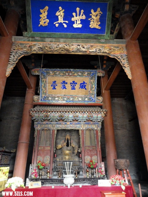 DSC00317.jpg