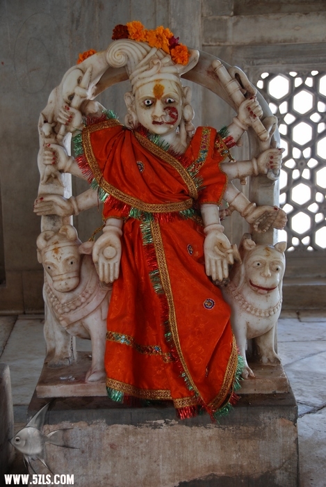 29.jpg