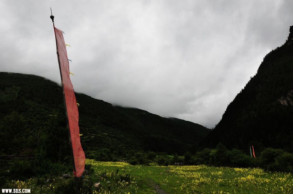 DSC_0130.JPG