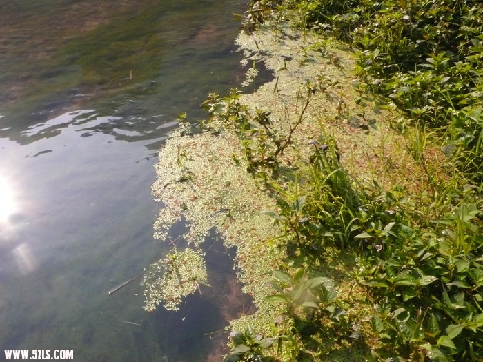 P1140553_缩小大小.JPG