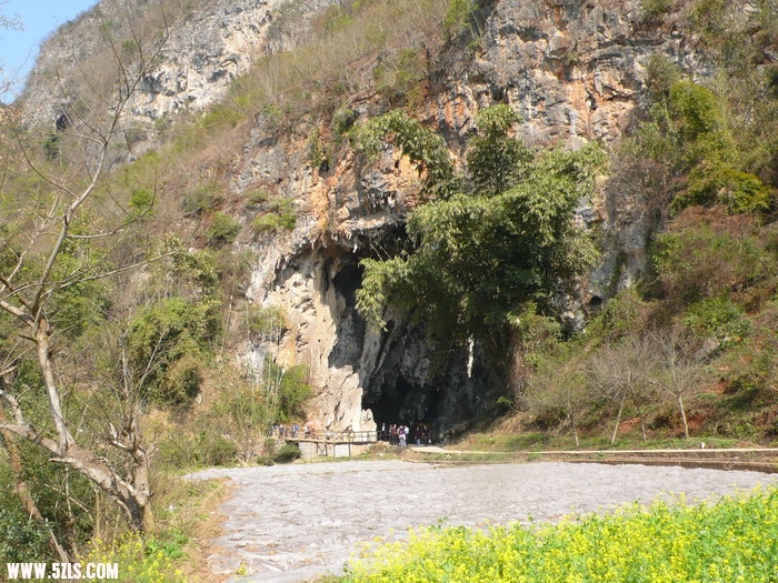 P1140664_缩小大小.JPG