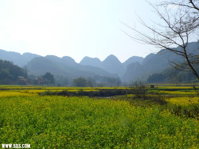 P1140660_缩小大小.JPG