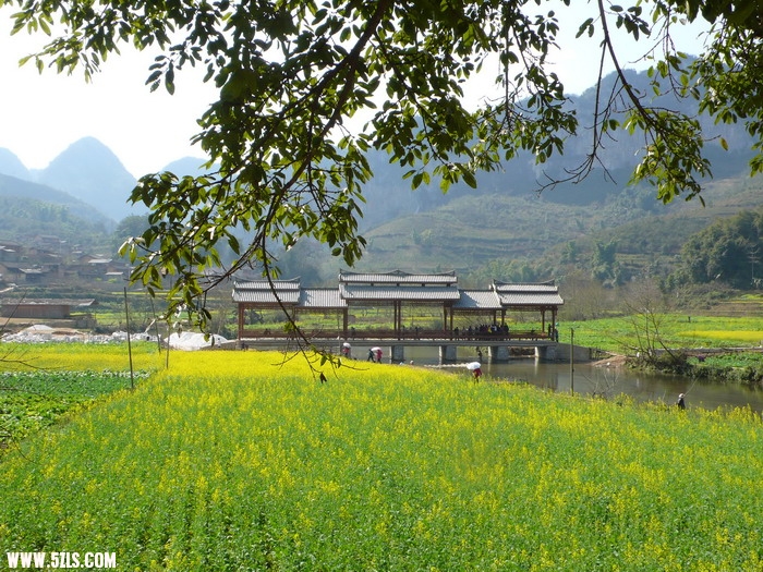 P1140680_缩小大小.JPG