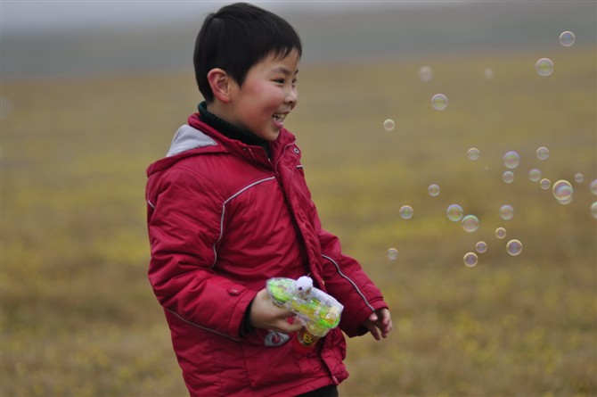 泡泡在黄花地上飞