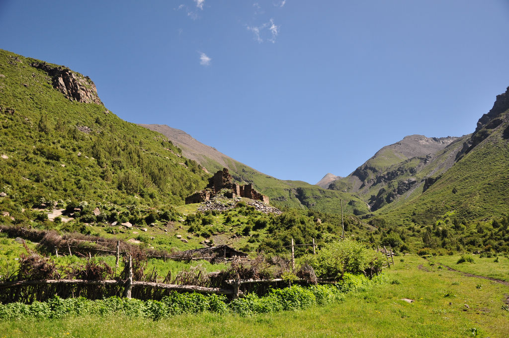 DSC_0249.JPG