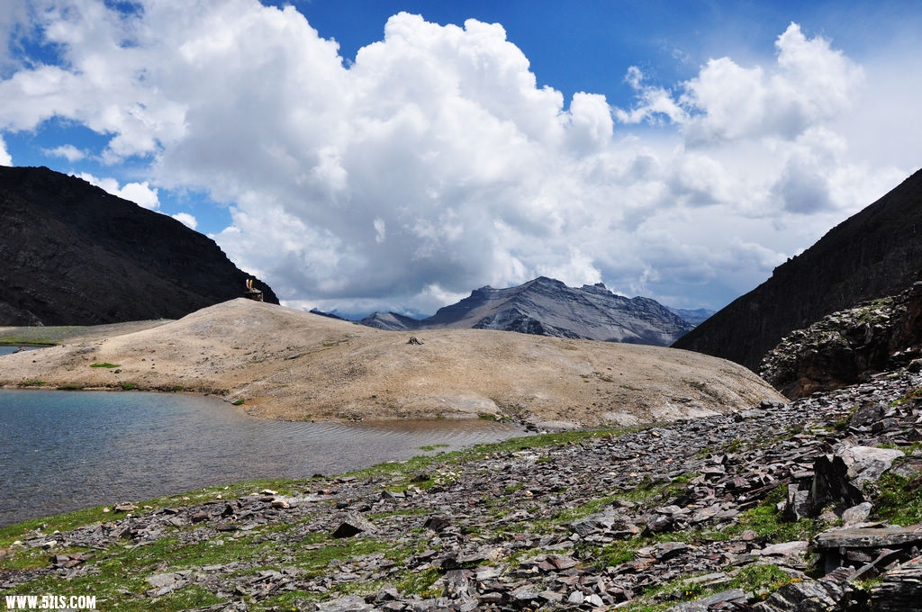 DSC_0321.JPG