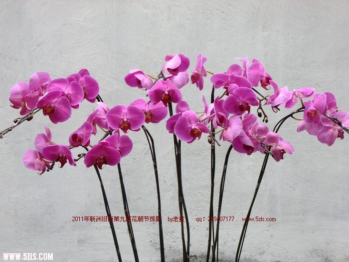 DSCF8829.JPG