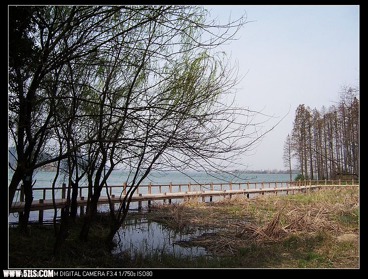 2011-3-24㾰 002.jpg