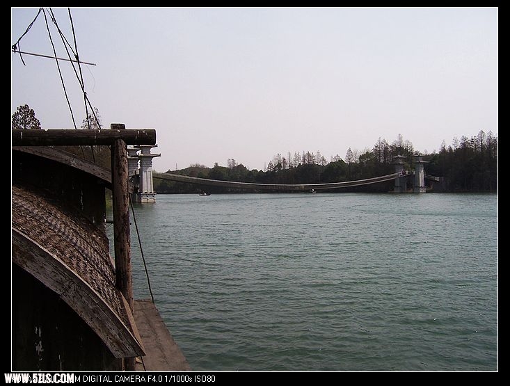 2011-3-24㾰 018.jpg
