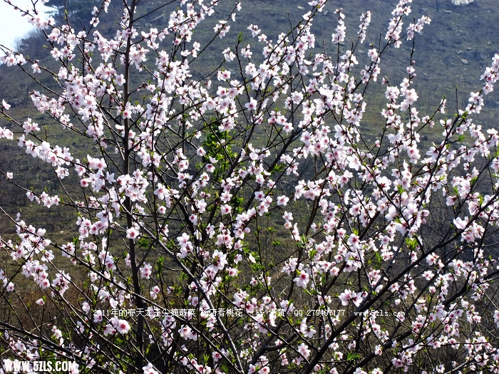 DSCF8982.JPG