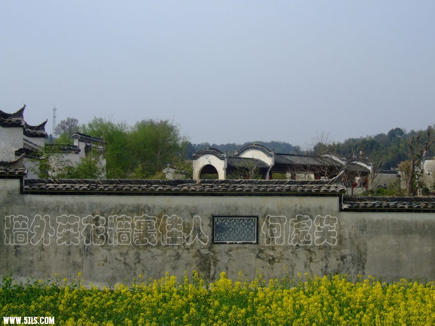 P2.jpg