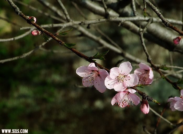 照片 303.jpg