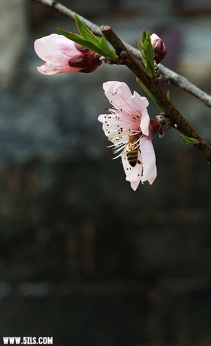 照片 341.jpg