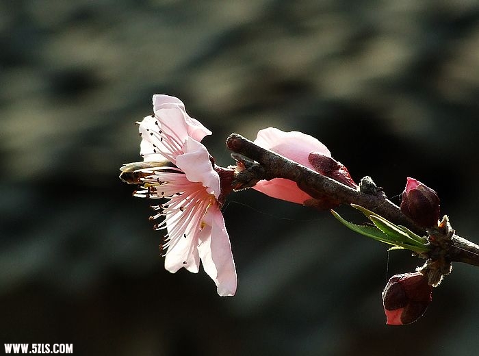 照片 349.jpg