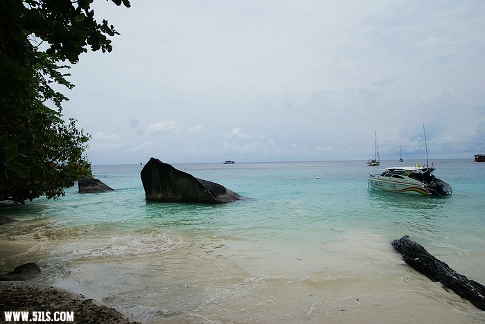 DSC01909.JPG