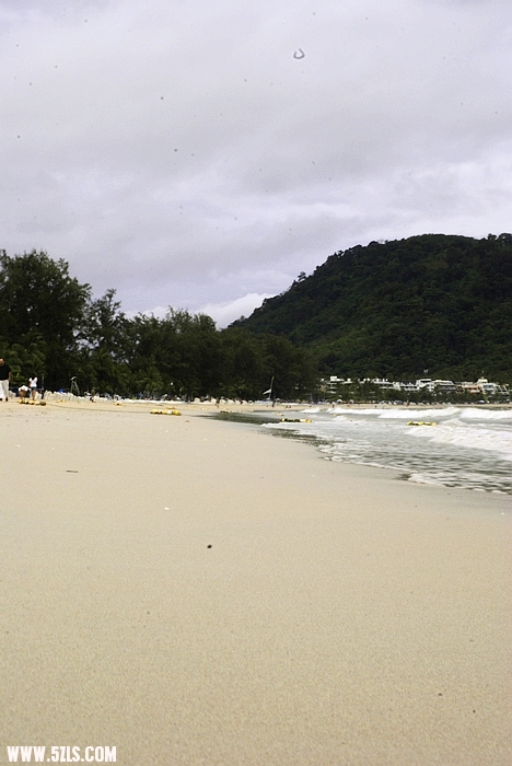 DSC02508.JPG