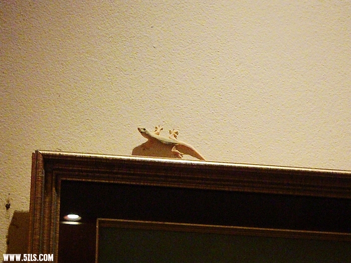 P3220427.JPG