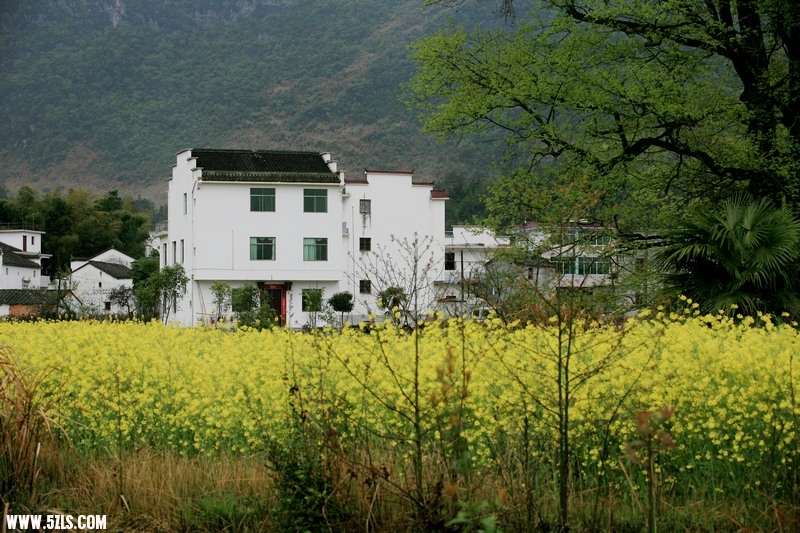 01.jpg