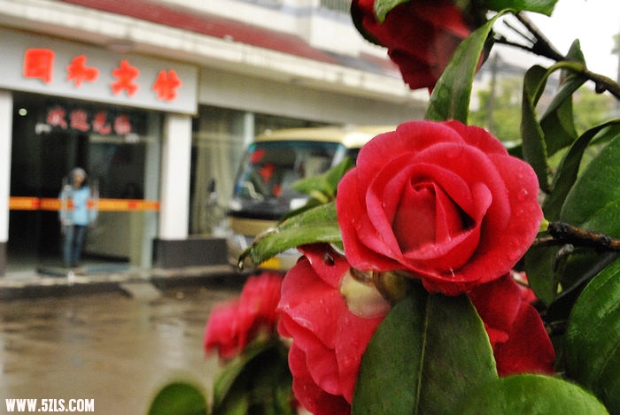 nEO_IMG__DSC0385.jpg