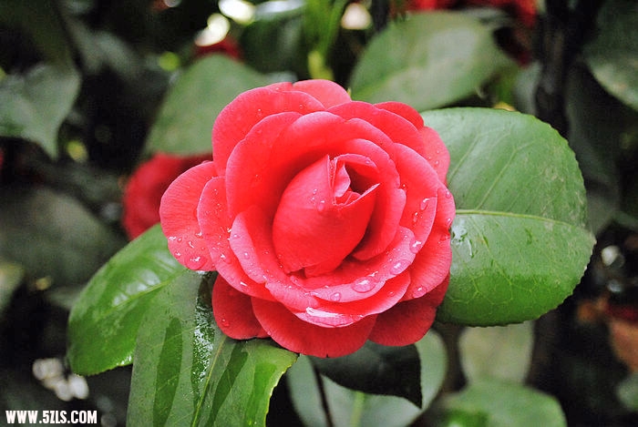 nEO_IMG__DSC0380.jpg