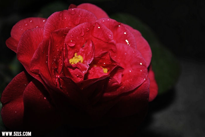 nEO_IMG__DSC0356.jpg