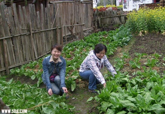 S7301908a.jpg