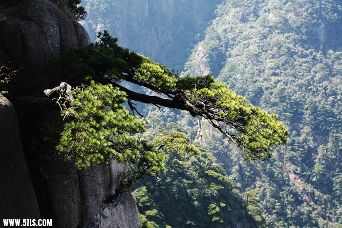 Ƭ 040.jpg