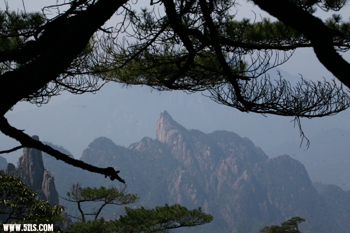 Ƭ 049.jpg