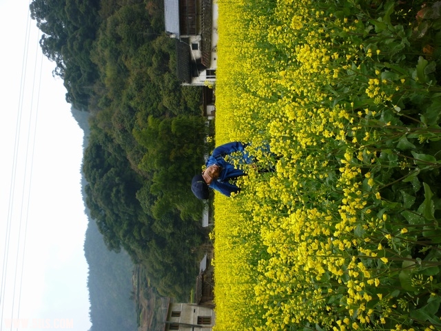 P1030153.JPG