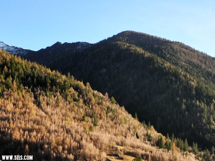 DSC_0306-1.jpg